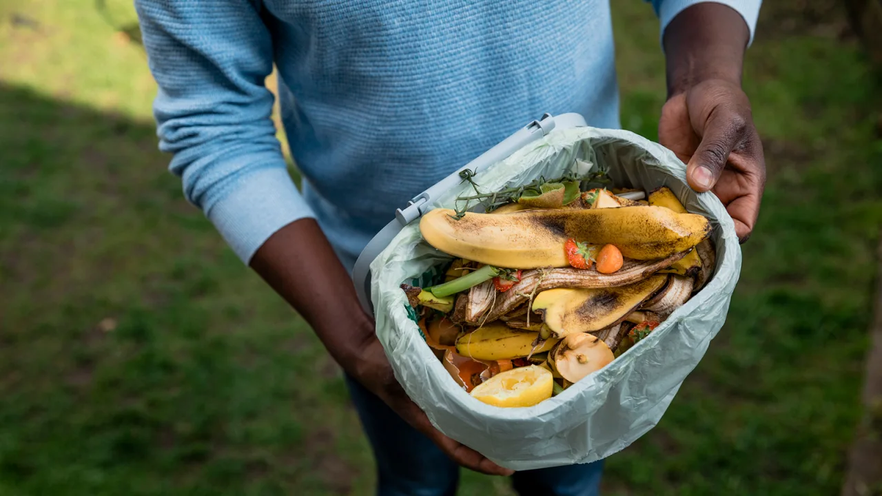 What Are The Best Actions I Can Take To Limit Food Waste?